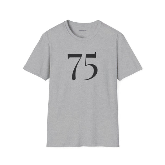 ACIM / The Light Has Come /Lesson 75 T‑Shirt — Inspirational Faith Tee