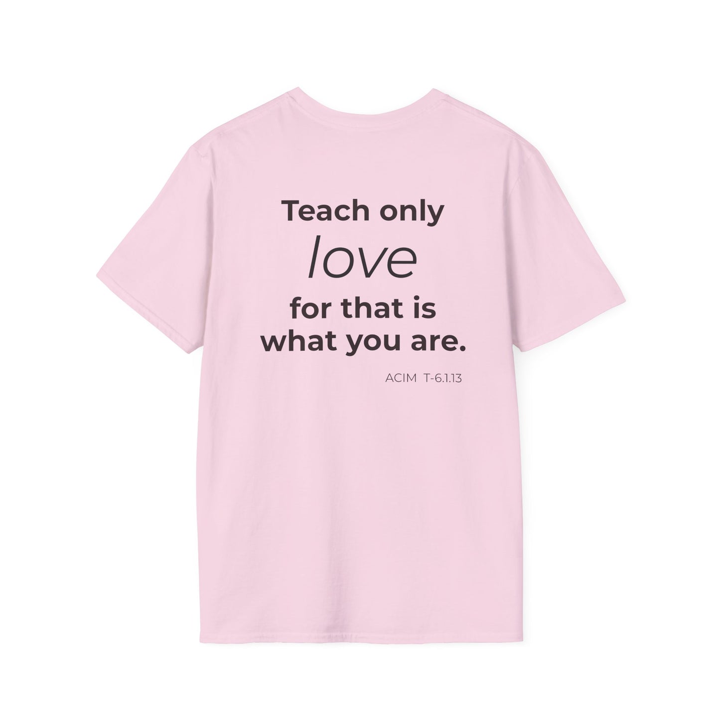 Teach Only T-Shirt — Big Red Heart Tee