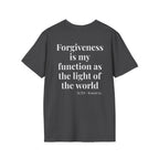 ACIM Lesson 62 — Sprirtial Tee
