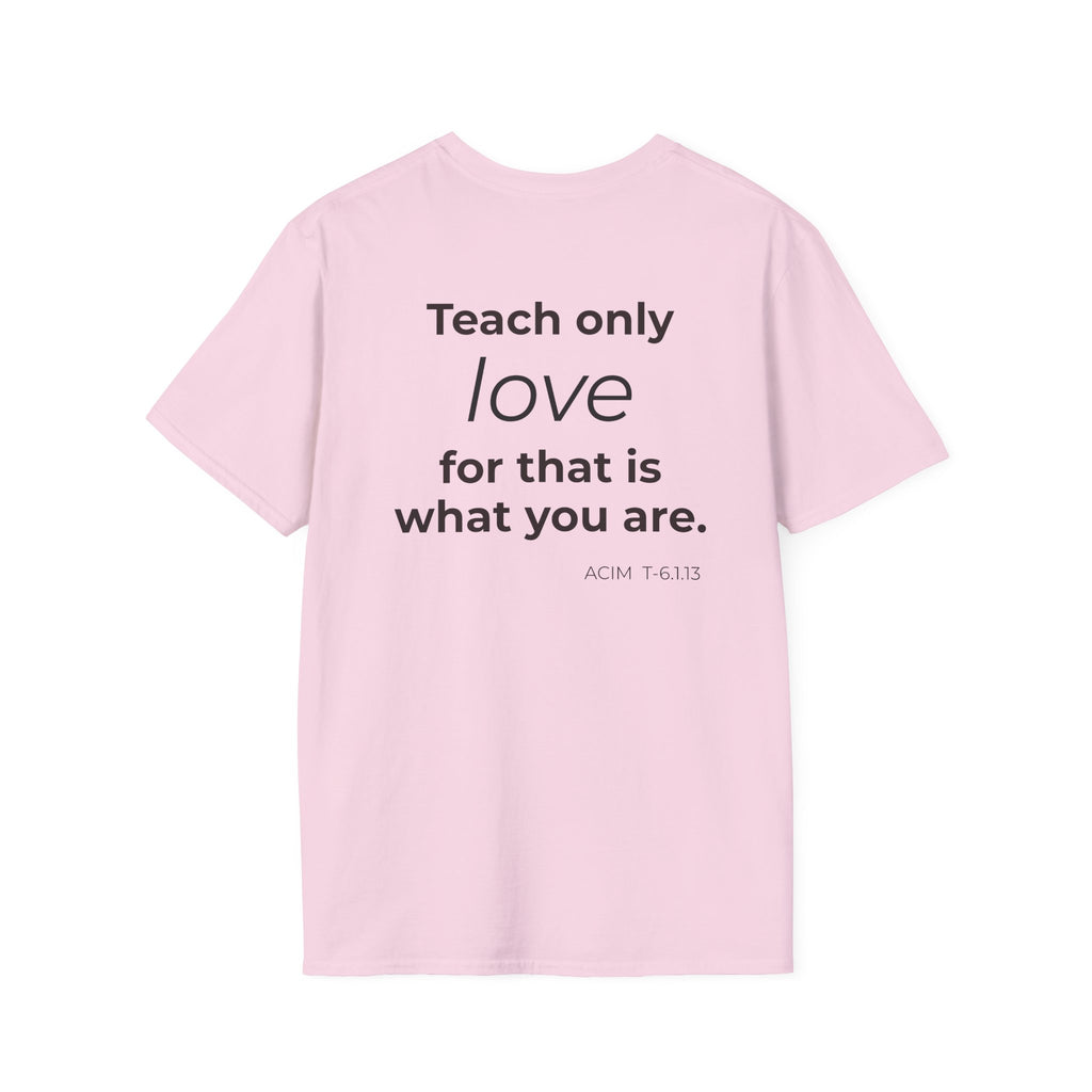 Teach Only T-Shirt — Big Red Heart Tee