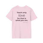 Teach Only T-Shirt — Big Red Heart Tee