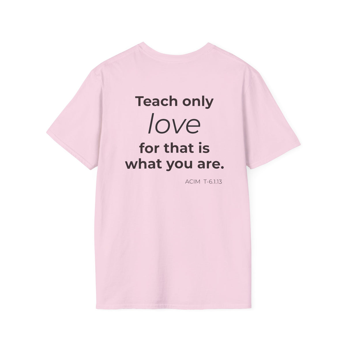 Teach Only T-Shirt — Big Red Heart Tee