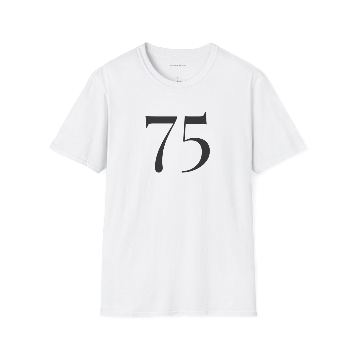ACIM / The Light Has Come /Lesson 75 T‑Shirt — Inspirational  Faith Tee