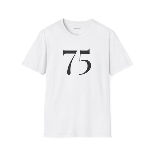 ACIM / The Light Has Come /Lesson 75 T‑Shirt — Inspirational  Faith Tee