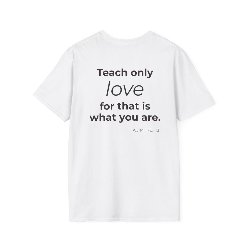 Teach Only T-Shirt — Big Red Heart Tee