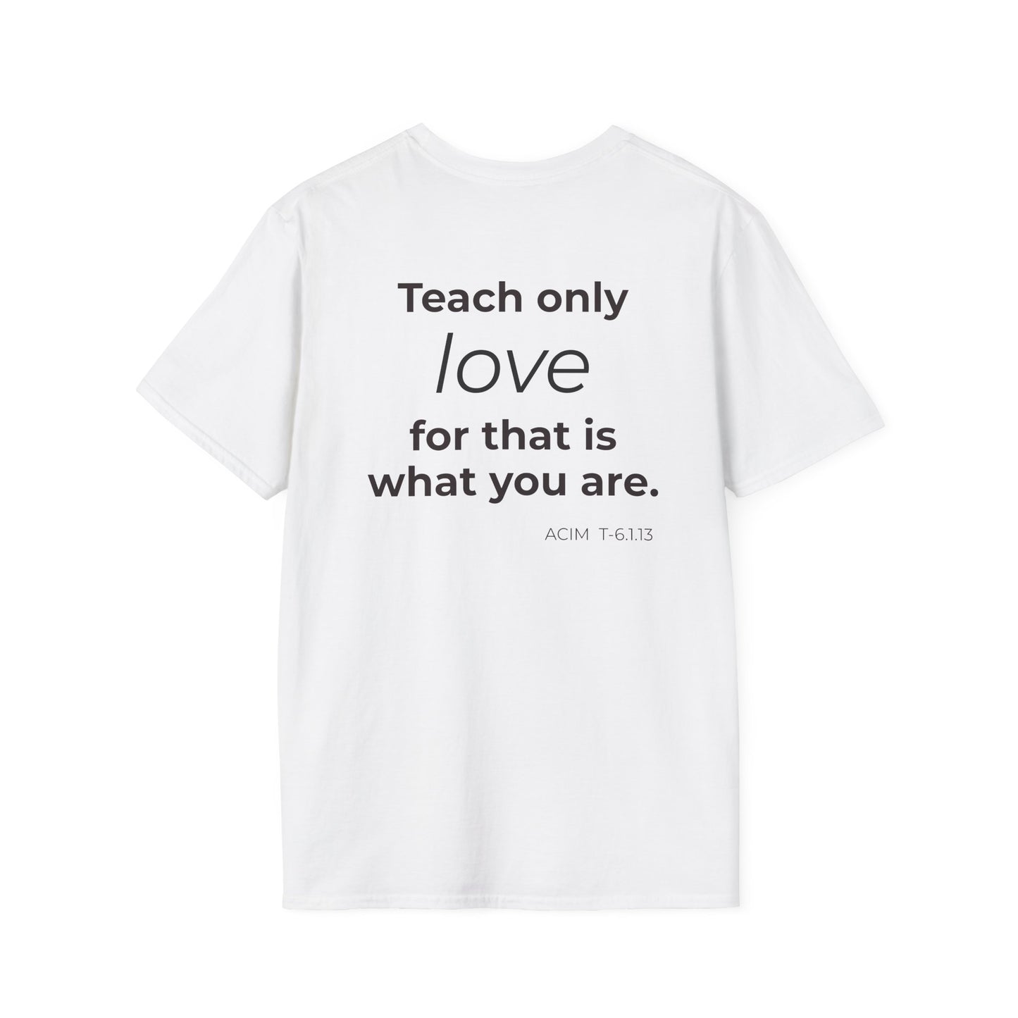 Teach Only T-Shirt — Big Red Heart Tee