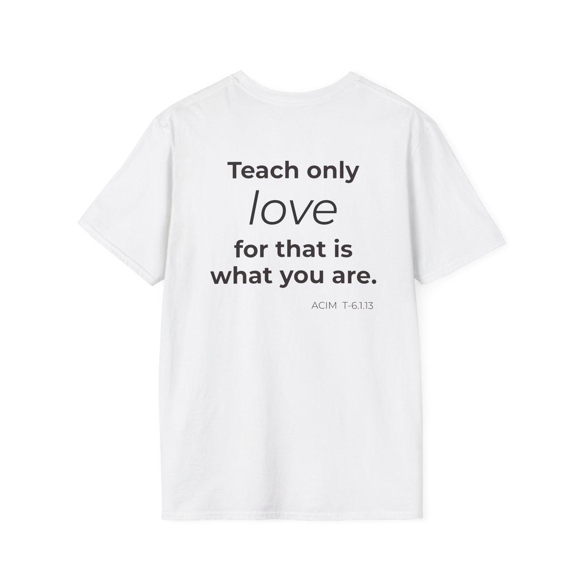 Teach Only T-Shirt — Big Red Heart Tee