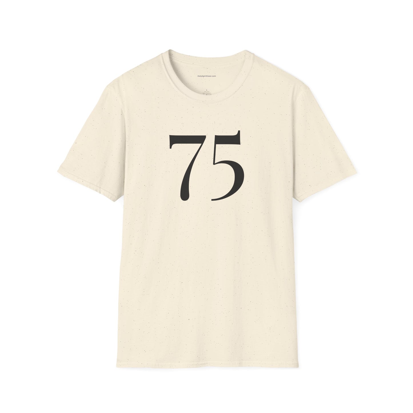 ACIM / The Light Has Come /Lesson 75 T‑Shirt — Inspirational  Faith Tee