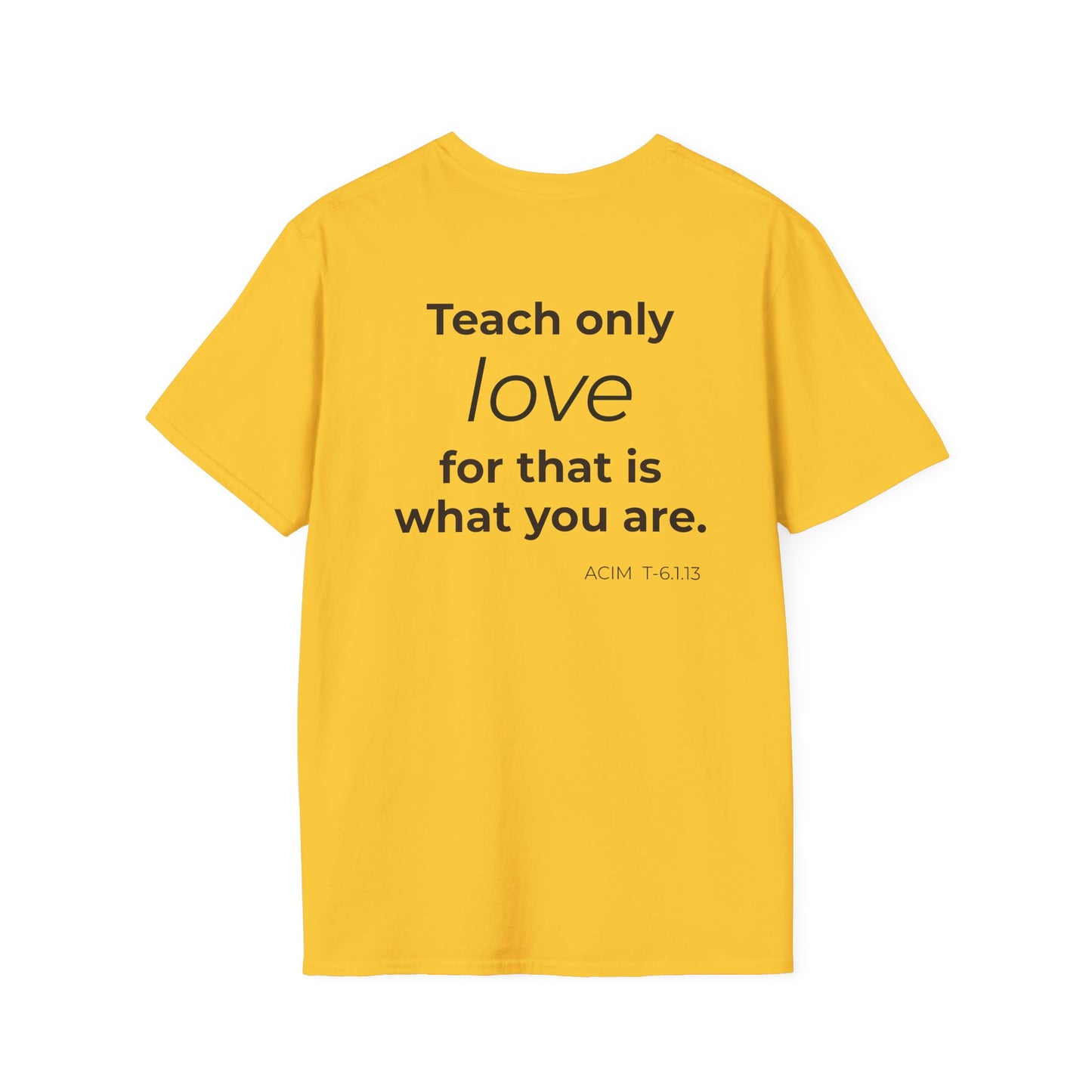 Teach Only T-Shirt — Big Red Heart Tee
