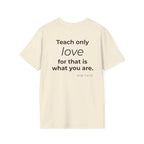 Teach Only T-Shirt — Big Red Heart Tee