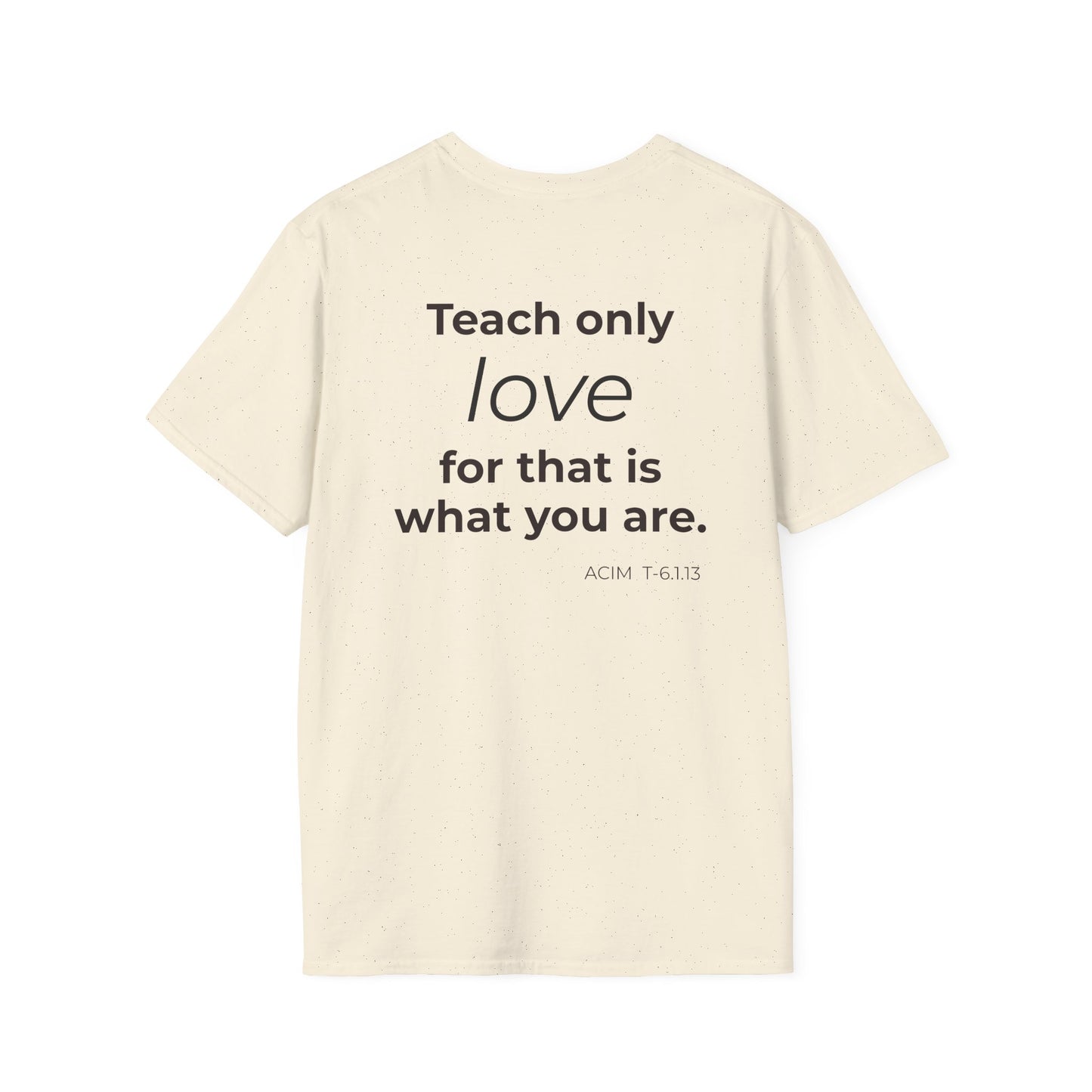 Teach Only T-Shirt — Big Red Heart Tee